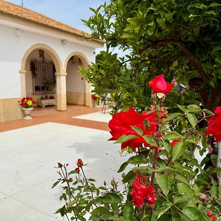 Cañada del Rabadán La Casa Del Flamenco 빌라 외부 사진