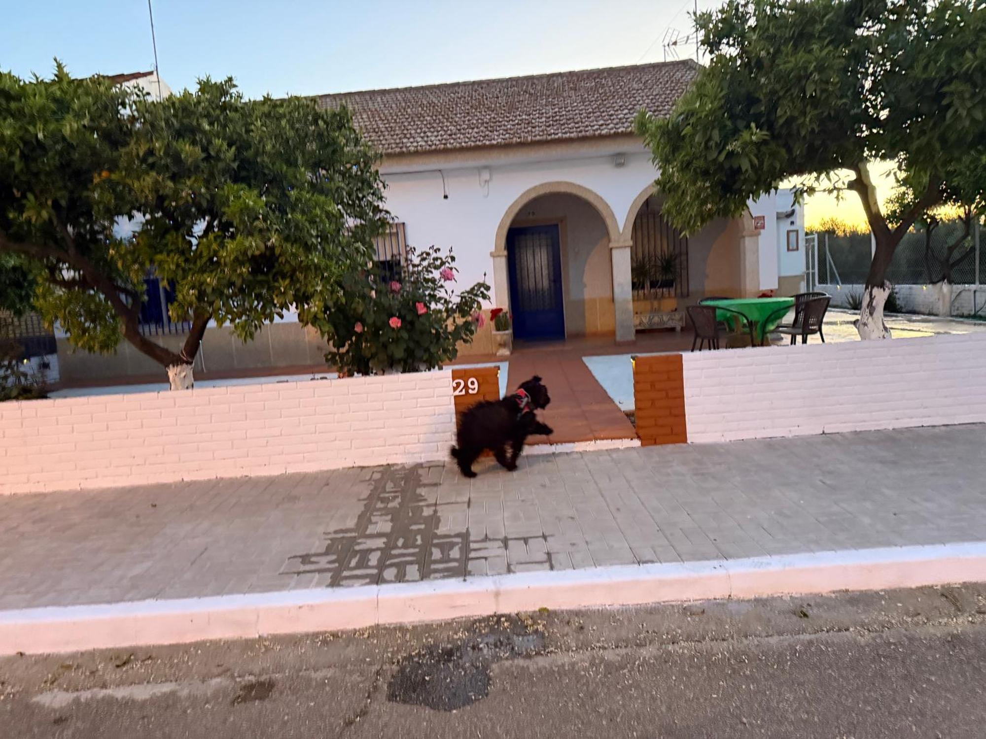Cañada del Rabadán La Casa Del Flamenco 빌라 외부 사진