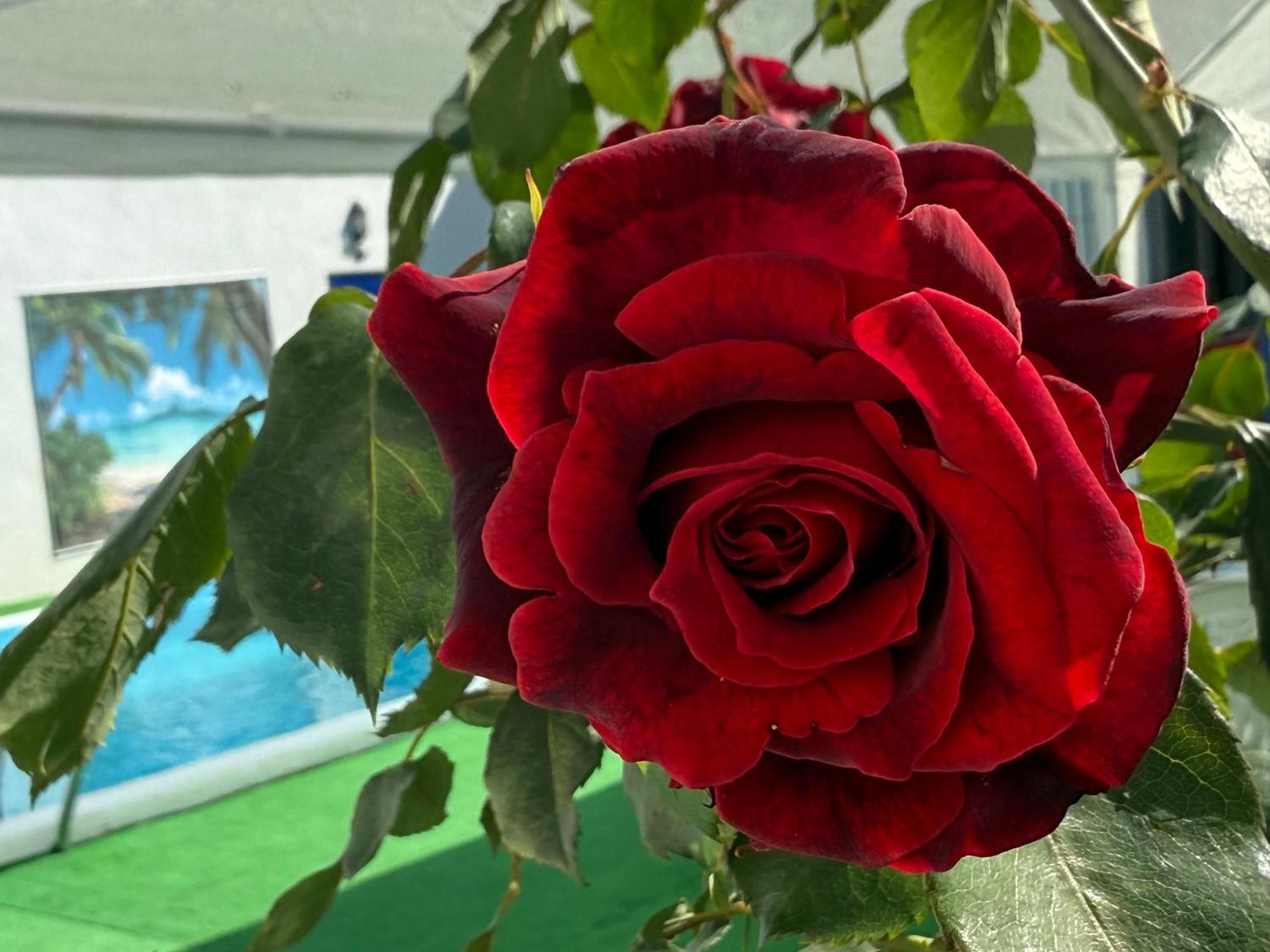 Cañada del Rabadán La Casa Del Flamenco 빌라 외부 사진
