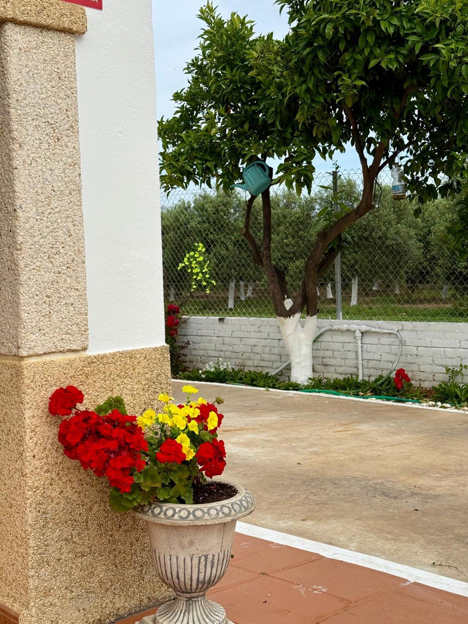 Cañada del Rabadán La Casa Del Flamenco 빌라 외부 사진